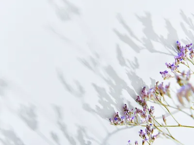 ピラティスラゴム