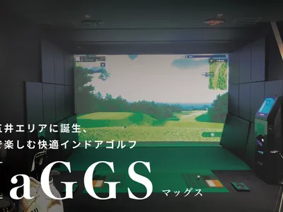 インドアゴルフMaGGS 市原五井店