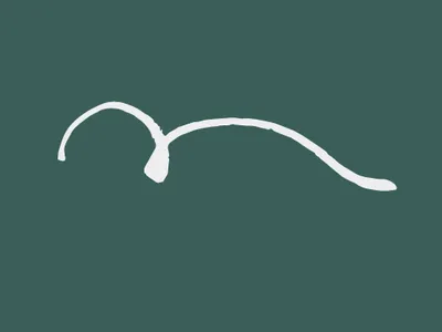 Null yogates studio ナルヨガティススタジオ